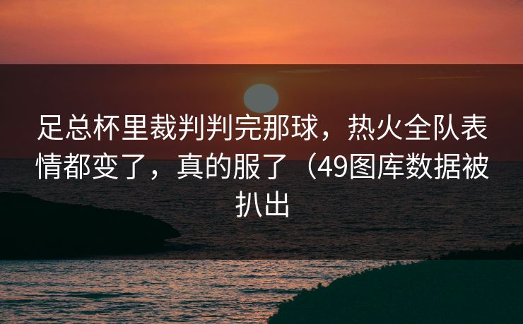 足总杯里裁判判完那球,热火全队表情都变了,真的服了(49图库数据被扒出